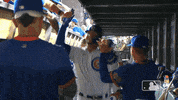 Regular Season Hug GIF by MLB