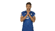 Tsg Hoffenheim Hello Sticker by Bundesliga