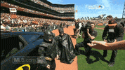 sf 137 GIF by MLB