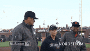 sf 137 GIF by MLB