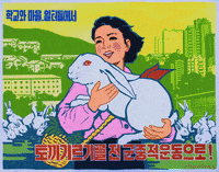 Rabbit Poster GIF