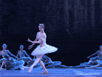 Swan Lake Ballet GIF