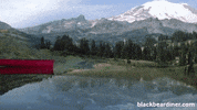 Bear Camping GIF by BlackBearDiner