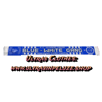 Dinamo Minsk Sticker by UltrasInPeluze