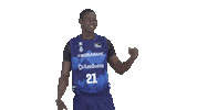 Vamos Liga Endesa Sticker by ACB