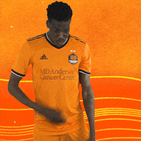 Football Celebrate GIF by Houston Dynamo FC