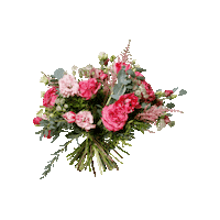 Pink Flower Sticker by Floom