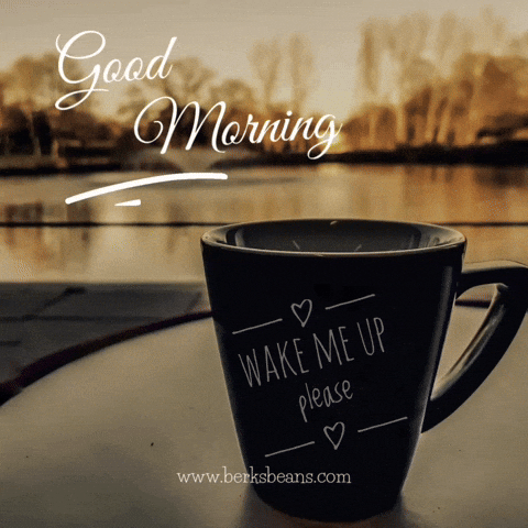 Good Morning GIF by Berk's Beans Coffee