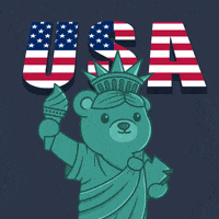 American Usa GIF by BEARISH