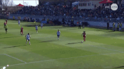 ashley hatch goal GIF by Washington Spirit