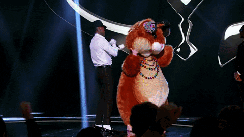 Season 6 Mask GIF by The Masked Singer