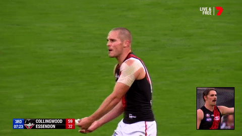 2018 season football GIF by AFL