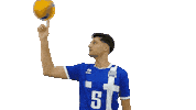 Volleyballgr Sticker by HellenicVolleyballFederation