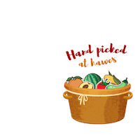 HawesFarms farm hawes redding california hawes farms Sticker