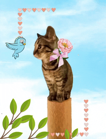 janellegiese giphyattribution GIF