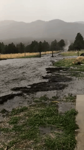 Flash Flooding Hits Wildfire Burn Scar in Northern New Mexico