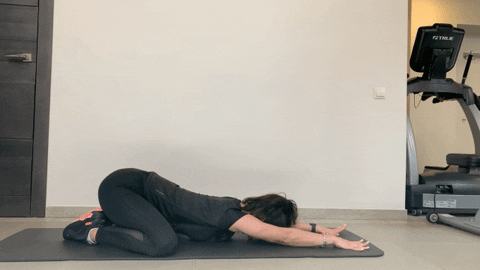 Behipo_com giphyupload GIF