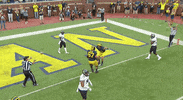 GIF by Michigan Athletics