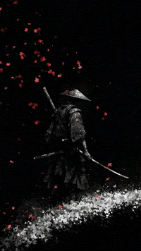 Flower Ninja GIF