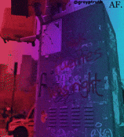 America First Fuentes GIF