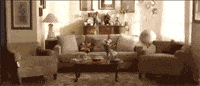 andy samberg yolo GIF by Saturday Night Live