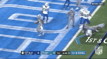 Detroit Lions Football GIF by NFL