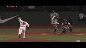 BeaverBaseball baseball oregon state GIF