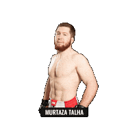 Mma Fighter Sticker by BRAVE Combat Federation