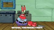 season 9 squid defense GIF by SpongeBob SquarePants