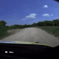 Crash Roll GIF by FIA European Rally Championship