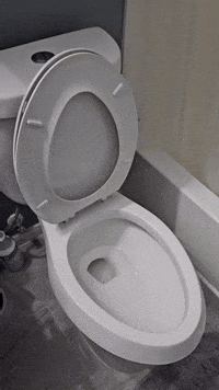 Trending Toilet GIF