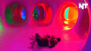 art news GIF by NowThis 