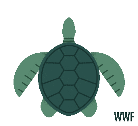 Sea Turtle Swimming Sticker by WWF_UK