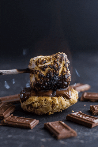 toasted marshmallow s'mores GIF