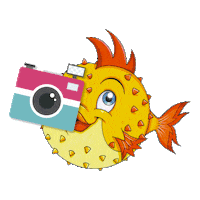 Roma Aquapark Sticker by Hydromania