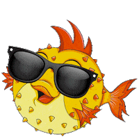 Sun Sunglasses Sticker by Hydromania