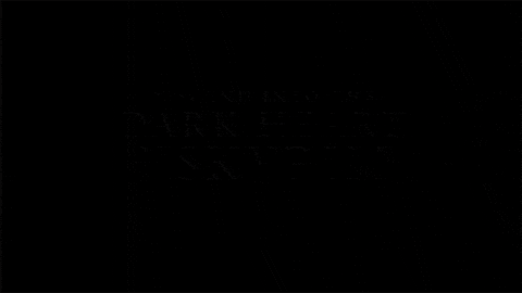 Elder Scrolls Vampire GIF by Bethesda