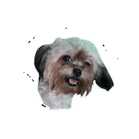 Dog Puppy Sticker