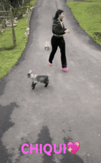 Chiqui GIF