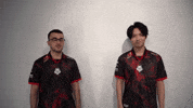League Of Legends Lol GIF by G2 Esports