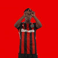 Werkself Assist GIF by Bayer 04 Leverkusen