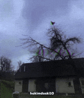 Shocked GIF