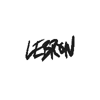 Lebron Nikebasketball Sticker by Nike