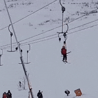 fun let GIF