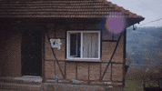 Fox Foxturkiye GIF by NOW