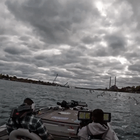 Speeding Boat Has Close Call with Seagulls