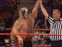 wwe sports wwe wrestling 1997 GIF