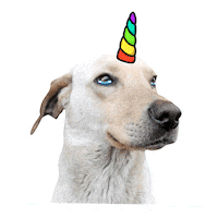 Awesome Dog Sticker by Samsungmobilemx