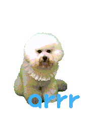 아르르 Sticker by arrr_official