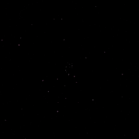 Vocal GIF by Baobab communication